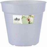 Green Basic Orchidee transparent 15 cm