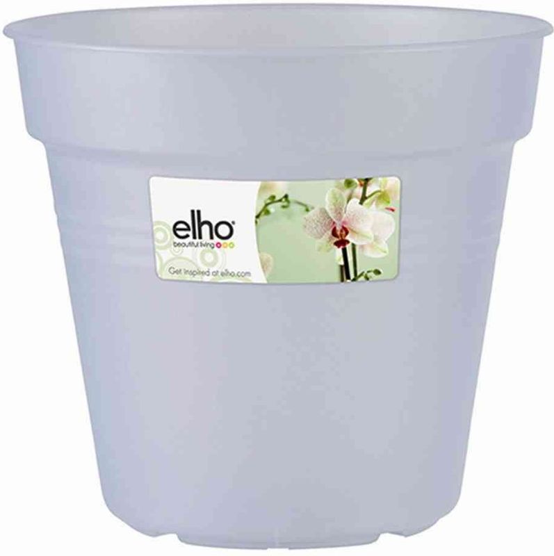 Green Basic Orchidee transparent 17 cm