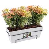 Elho Loft Urban Balkonbak Allin1 50 - Plantenbak voor Balkon Buiten - Ø 49.0 x H 20.5 cm - Wit