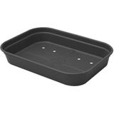 Elho Kweektray Basic M 36cm - Zwart