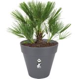 Elho Loft Urban Rond 60 - Grote Bloempot voor Buiten - Waterreservoir - 100% Gerecycled Plastic - Ø 58.0 x H 54.0 cm - Antraciet