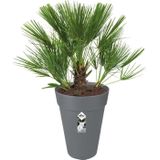 Elho Loft Urban Rond Hoog 42 - Grote Bloempot voor Buiten - Waterreservoir - 100% Gerecycled Plastic - Ø 42.0 x H 56.0 cm - Antraciet