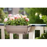 Barcelona All-In-1 taupe 50 cm