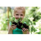 Elho Kweekpot Green Basics Set L Zwart | Moestuinbakken & oppottafels
