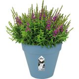 Elho Loft Urban Rond 20 - Bloempot voor Buiten - Ø 19.3 x H 17.5 cm - Blauw