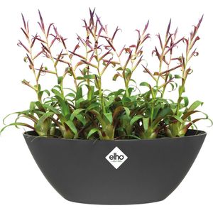 Elho Bloempot Brussels Ovaal 36cm Antraciet | Bloempotten & accessoires