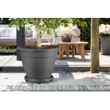 Elho Universele Planttaxi 30 - Schotel voor Binnen & Buiten Accessoires - Ø 28.5 x H 6.5 cm - Antraciet