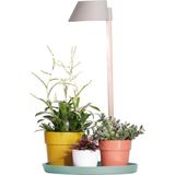 Elho Plant Light Care 25 - Groeilamp LED voor Binnen - Kweeklamp - Ø 27.0 x H 7.5 cm - Gletsjer Grijs