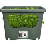 Elho Green Basics Stack & Grow 50 - Stapelbare Kweekbak - Verticaal Tuinieren - 100% Gerecycled Plastic - Ø 50.9 x H 35.7 cm - Blad Groen