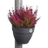 Elho Vibia Campana Regenpijpbakje 40 - Bloempot voor Buiten - Ø 21.6 x H 16.3 cm - Antraciet