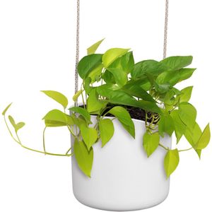 Elho - B.for Swing - Hangpot - Wit - 100% Gerecycled Kunststof