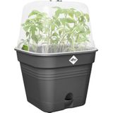 Elho Green Basics Allin1 20 vierkante plantenpot, bloempot voor kweek en oogst, diameter 19,5 x H 16,5 cm, zwart/zwart