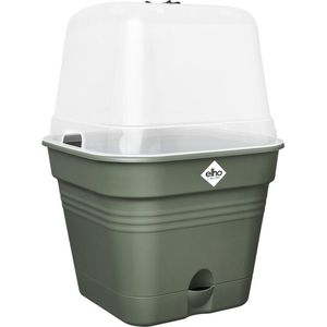 Elho kweekbak Green Basics groen / transparant 24,5 x 24,5 x 20,7 cm