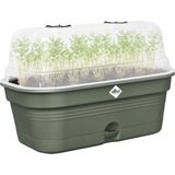 Elho Green Basics Kweektray Allin1 32 - Kweekbak met Deksel - 100% gerecycled plastic - Ø 32.0 x H 13.2 cm - Blad Groen