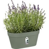 elho Loft Urban Green Wall Duo 28 - Pistachegroen (Groen) - L 28 x B 15 x H 13 cm - Ideaal voor balkon en buiten - 100% gerecycled