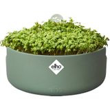 Elho Magic Microgreens 17 - Kweekbak voor Kiemgroenten - 100% Gerecycled Plastic - Ø 16.8 x H 7.1 cm - Blad Groen