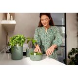 Elho Magic Microgreens 17 - Kweekbak voor Kiemgroenten - 100% Gerecycled Plastic - Ø 16.8 x H 7.1 cm - Blad Groen