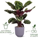 Bloempot - 30 cm - Terracotta - Aardewerk