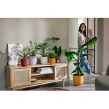 Bloempot - 30 cm - Terracotta - Aardewerk