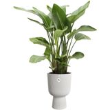 Elho Vibes Fold Coupe 30 - Bloempot voor Binnen - 100% Gerecycled Plastic - Ø 29.5 x H 44.7 cm - Zijdewit