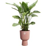 Elho Vibes Fold Coupe 30 - Bloempot voor Binnen - 100% Gerecycled Plastic - Ø 29.5 x H 44.7 cm - Delicaat Roze