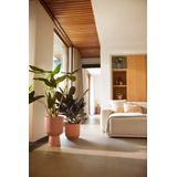 Elho Vibes Fold Coupe 30 - Bloempot voor Binnen - 100% Gerecycled Plastic - Ø 29.5 x H 44.7 cm - Delicaat Roze