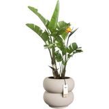 Bloempot - Wit - Keramiek