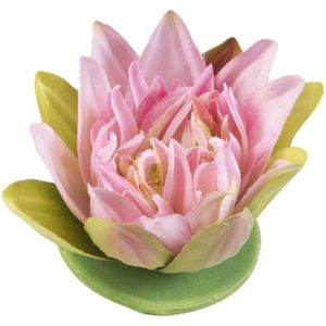 Velda Vijver Vijvertechniek Drijvende Vijverplant Lotus Roze 13Cm