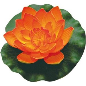 Velda Waterlelie Lotus 17 Cm Foam Oranje/groen