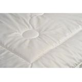 Texeler - Dekbed SpecialSatijn - 240 x 200 cm - Satijn - 4 Ritsen