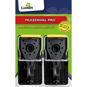 Luxan Muizenval Pro