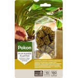 Pokon kamerplanten voedingskegels (10 stuks)