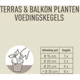 Pokon Terras & Balkon Planten Voedingskegels 10 stuks Voordelig