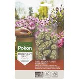 Pokon Terras & Balkon Planten Voedingskegels 10 stuks Voordelig