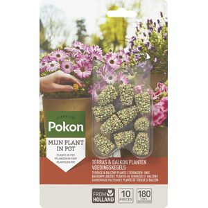 Pokon Voedingskegels voor Terras- & Balkonplanten - 10 stuks - 180 dagen voeding - Plantenvoeding