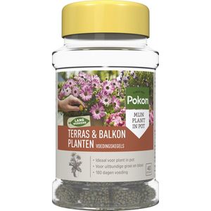 Terras- en balkonplanten voeding | Pokon | 40 stuks (Kegels)