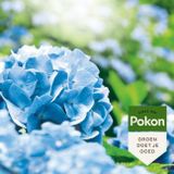 Pokon Hortensia Blauwmaker - 500g - Herstelt Blauwe Kleur - Geschikt Voor 25 Planten