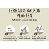 Pokon Terras & Balkon Planten Wateroplosbare Voeding