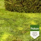 Pokon Mos Weg | Gazon | 25 m² (Korrels, 875 gram)