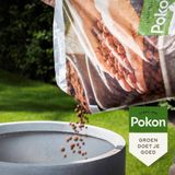 Hydrokorrels | Pokon | 5 liter