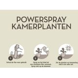 Pokon Powerspray Kamerplanten 300ml