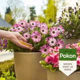 Pokon Terras & Balkon Planten Voedingskorrels - 800gr - Plantenvoeding - Osmocote - Voor plant in pot en border