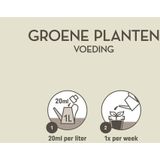 Pokon Planten Voeding Groene Planten 500 ml