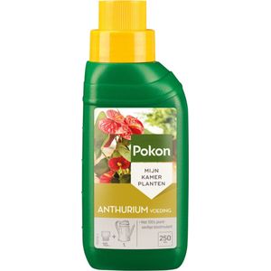 Pokon Anthurium Voeding - 250ml - Plantenvoeding - 10ml per 1L water