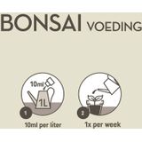 Pokon Planten Voeding Bonsai 250 ml