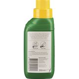 Pokon Bonsai Voeding - 250ml - Plantenvoeding - 10ml per 1L water