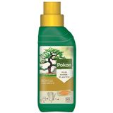 Pokon Bonsai Voeding - 250ml - Plantenvoeding - 10ml per 1L water