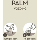 POKON PALM VOEDING 250 ML