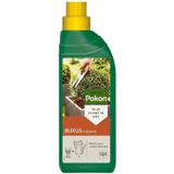 Pokon Buxus voeding 500ML