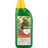 Pokon Buxus voeding 500ML